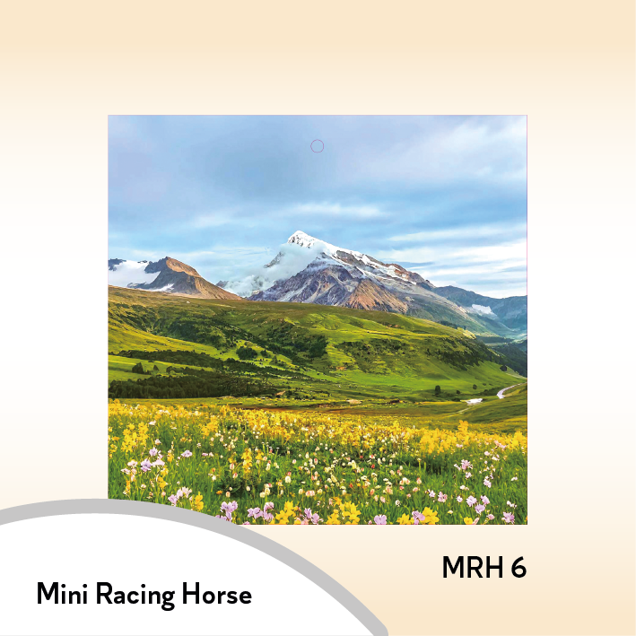08MRH Mini Racing Horse