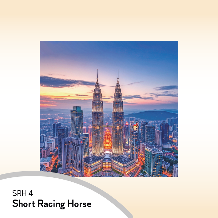08SRH Short Racing Horse