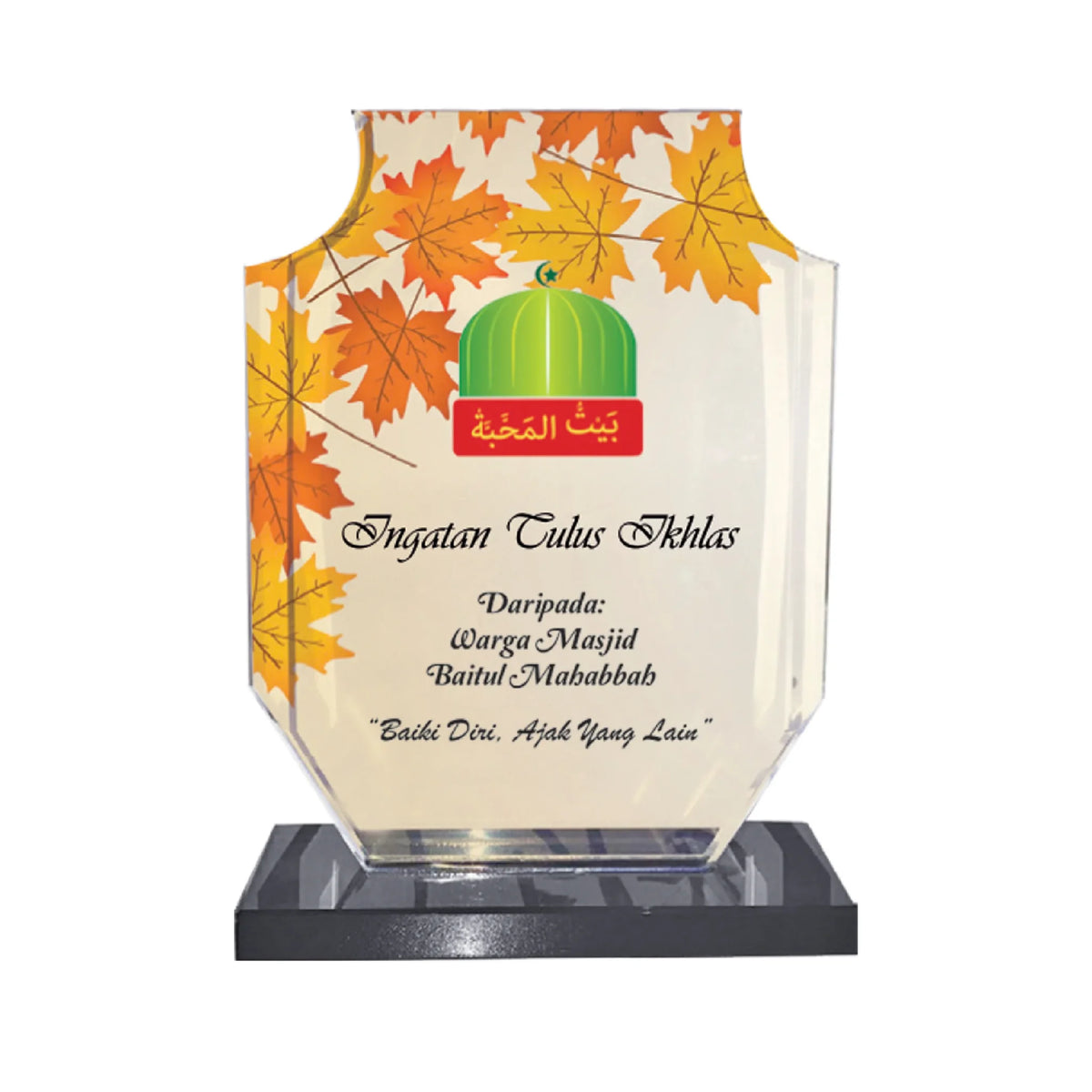 Crystal Plaque (CP381)