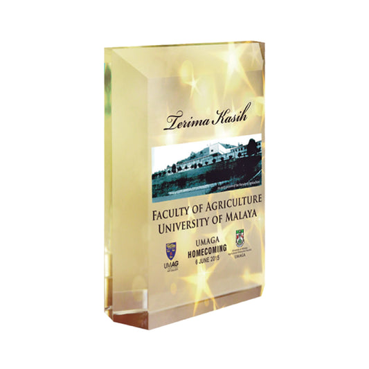 Crystal Plaque (CP1155)