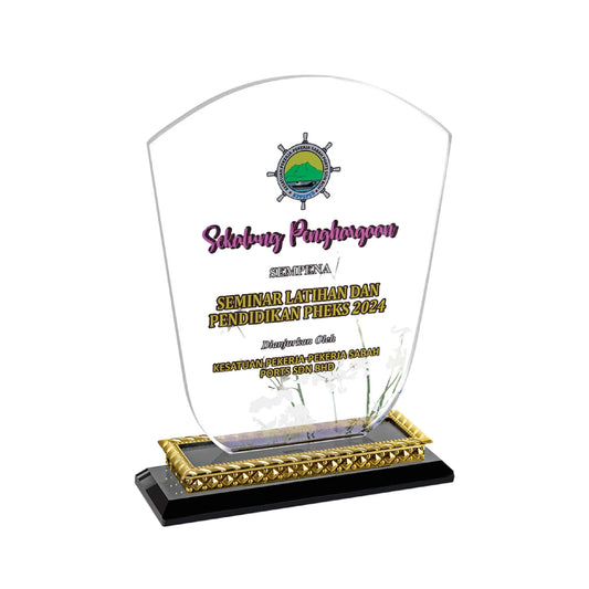 Crystal Plaque (CP3895)