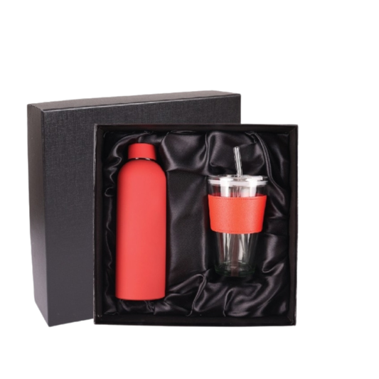 GBA 867 Corporate Gift Set | Tumbler | Glass Drinking Water