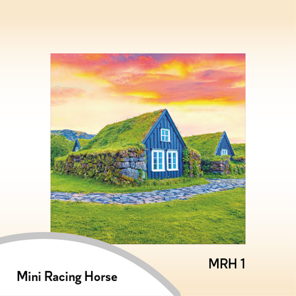 08MRH Mini Racing Horse