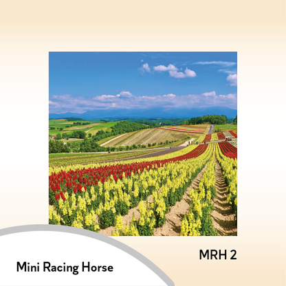 08MRH Mini Racing Horse