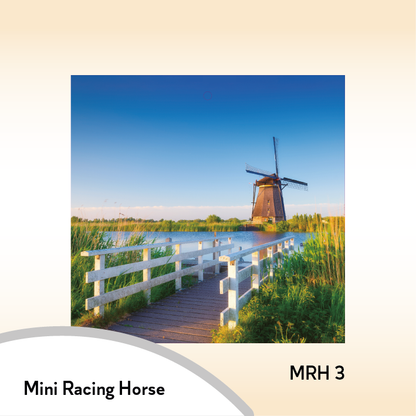 08MRH Mini Racing Horse