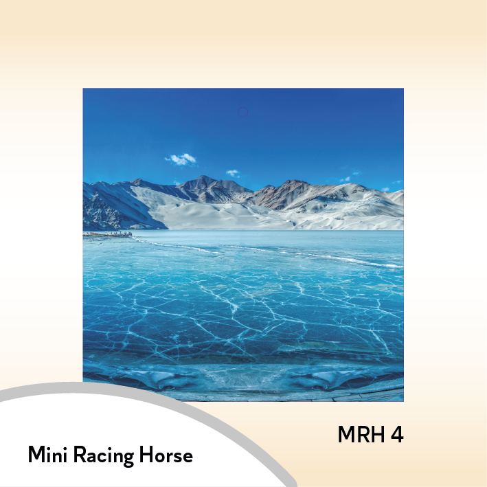 08MRH Mini Racing Horse