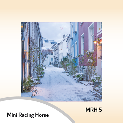 08MRH Mini Racing Horse