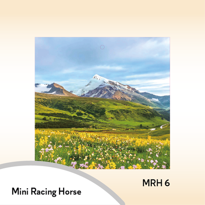 08MRH Mini Racing Horse