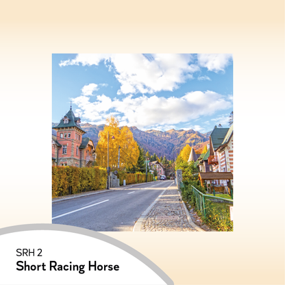 08SRH Short Racing Horse