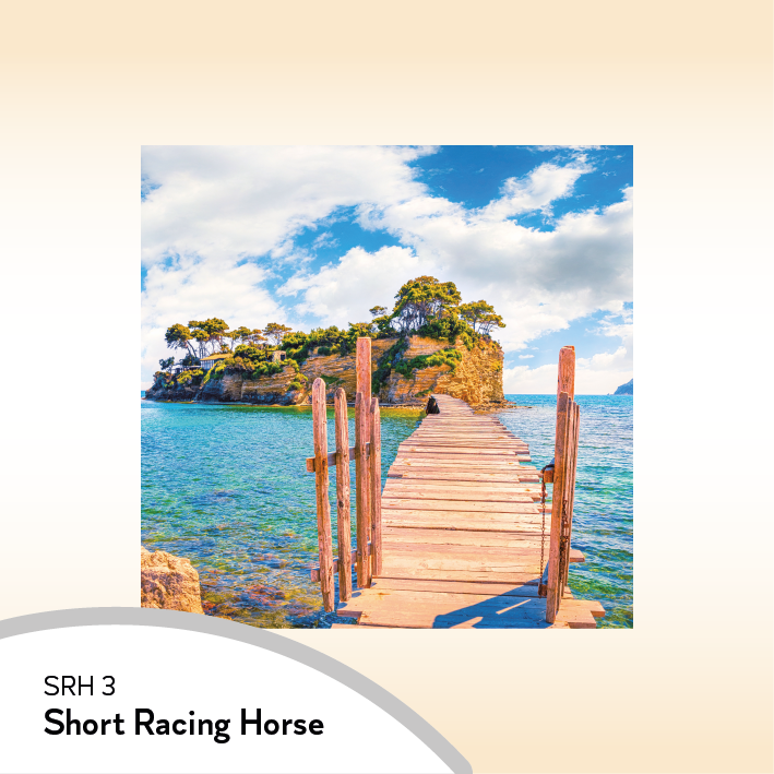 08SRH Short Racing Horse