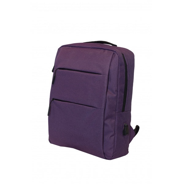 LT19 Laptop Bag 2 Compartment