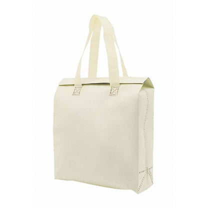 NW32 Laminated Non-Woven Bag + Aluminium Foil - 25cm(L) x 9cm(W) x 28cm(H)