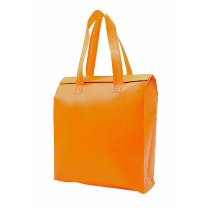 NW32 Laminated Non-Woven Bag + Aluminium Foil - 25cm(L) x 9cm(W) x 28cm(H)